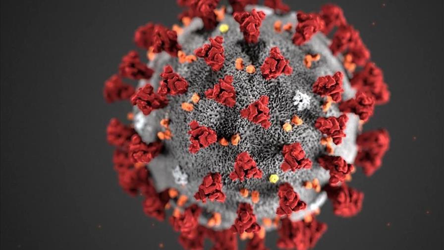 Estudio señala que inmunidad ante COVID-19 puede desaparecer en unos meses