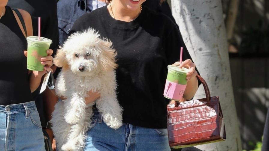 ¡Ellos también quieren fama! Las mascotas más tiernas de los famosos ¡Ellos también quieren fama! Las mascotas más tiernas de los famosos