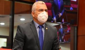 Someten proyecto de ley que extiende Mes de la Patria del 26 de enero al 9 de marzo