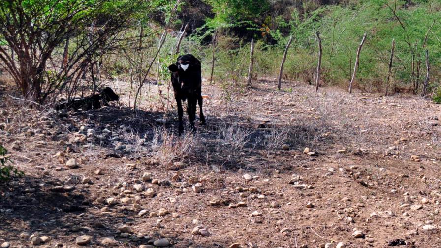 Se esperan pocas  lluvias hasta abril