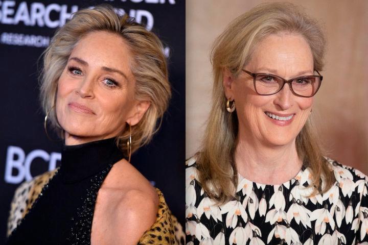 Las declaraciones de Sharon Stone sobre Meryl Streep que han causado polémica