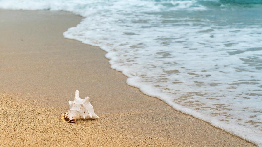 La mitad de las playas podrían desaparecer este siglo La mitad de las playas podrían desaparecer este siglo