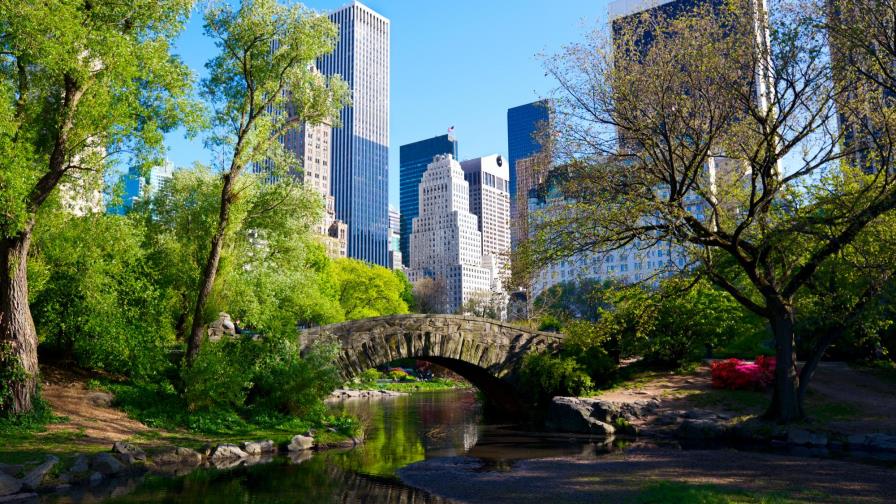 Hallan cadáver de un hombre en Nueva York, en el mismo lugar donde hace un año encontraron otro