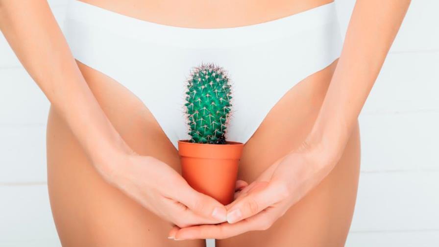 Granos en tu zona genital: ¿por qué aparecen?