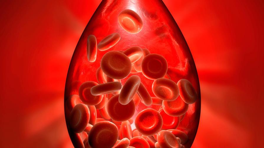 La hemofilia, el miedo a vivir siempre con el peligro de las hemorragias La hemofilia, el miedo a vivir siempre con el peligro de las hemorragias