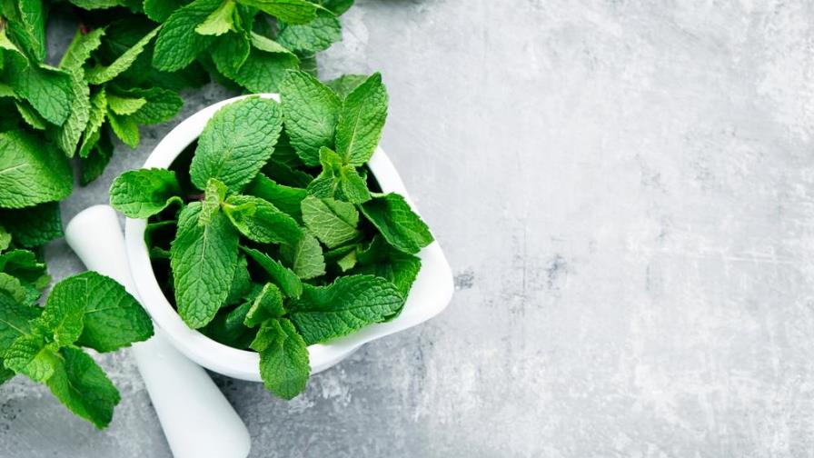 Por qué deberías incluir la menta en tus comidas y bebidas