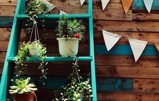 Una escalera, mil usos: 7 ideas creativas para decorar el hogar