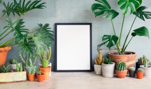 Más verde por favor: suma plantas en casa con estas ideas