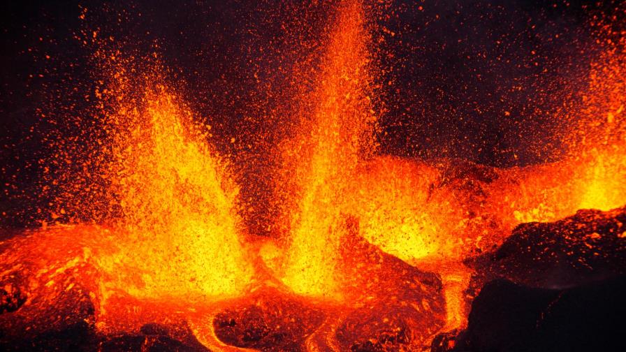 La mayor extinción durante uno de los momentos más catastróficos del planeta