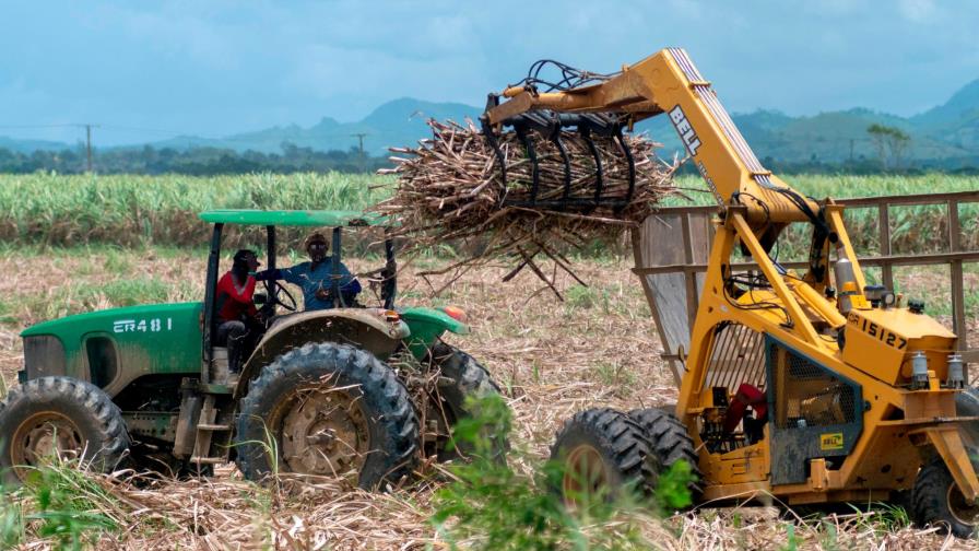 Azucareros piden proteger a productores locales de importaciones “ilícitas” Azucareros piden proteger a productores locales de importaciones “ilícitas”