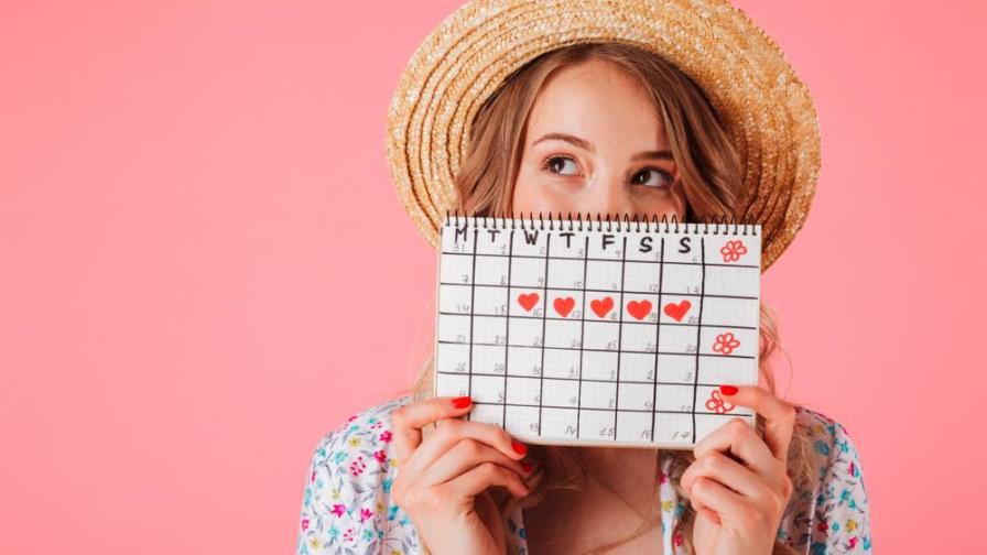 Aprende a diferenciar las fases de tu ciclo menstrual Aprende a diferenciar las fases de tu ciclo menstrual