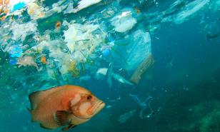 En el mar, la solución de la contaminación es la dilución