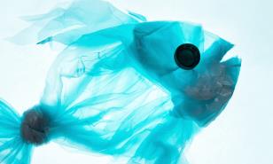 ¿Planeta o plástico? El dilema que tiene en vilo al mundo 