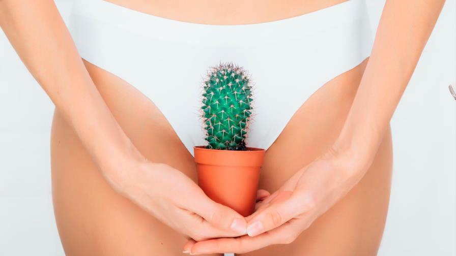 Aprende a eliminar el vello de la zona íntima con crema depiladora Aprende a eliminar el vello de la zona íntima con crema depiladora