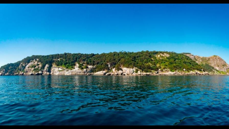 La isla con más serpientes por metro cuadrado del mundo