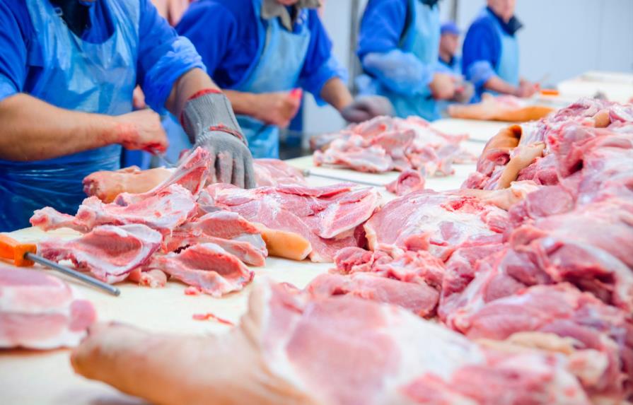 Fiebre porcina no afecta a los humanos; el consumo de carne de cerdo es seguro