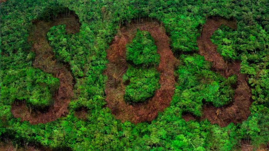 Es importante evitar el desmonte de áreas protegidas por estas razones