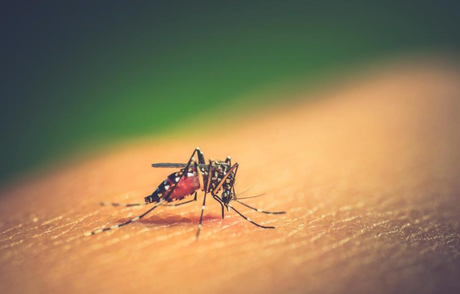 El dengue se expande en el país y ya tiene en alerta a 21 provincias