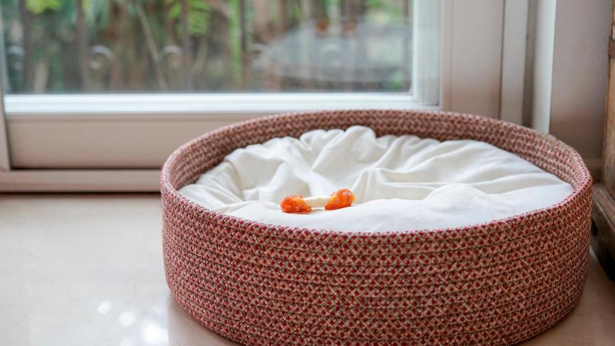 Vivir el duelo por la muerte  de una mascota