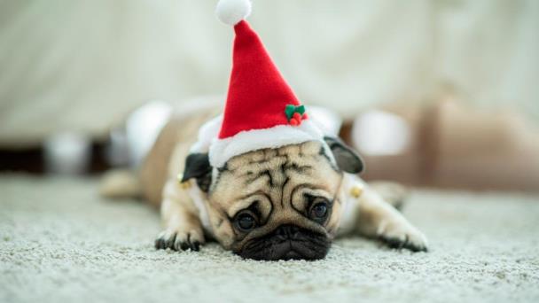 ¿Cómo enfrentar las emociones en Navidad?