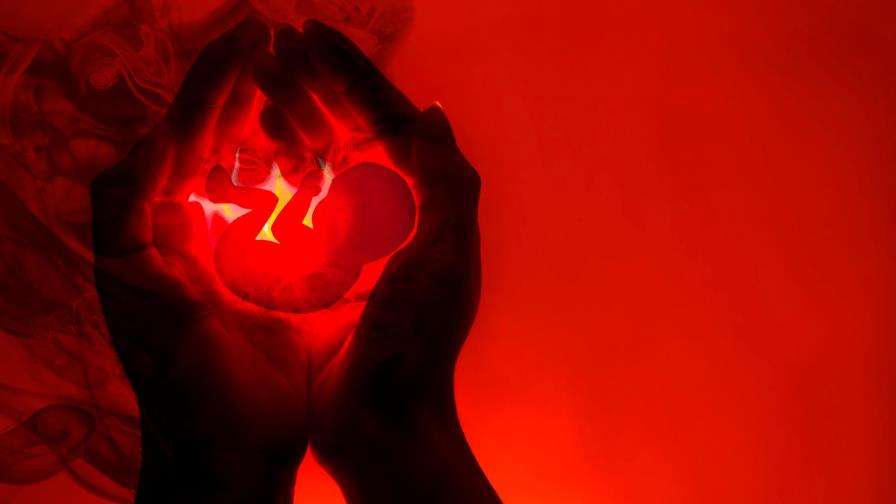 El tema del aborto puso en “jaque” a médicos del hospital Ney Arias Lora