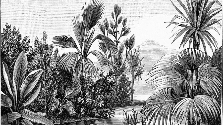 Los humanos llegaron a América hace unos 15,000 años Los humanos llegaron a América hace unos 15,000 años