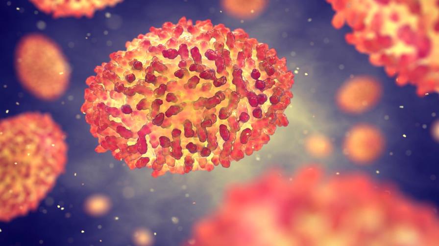 La humanidad celebra 40 años sin uno de sus mayores asesinos: la viruela