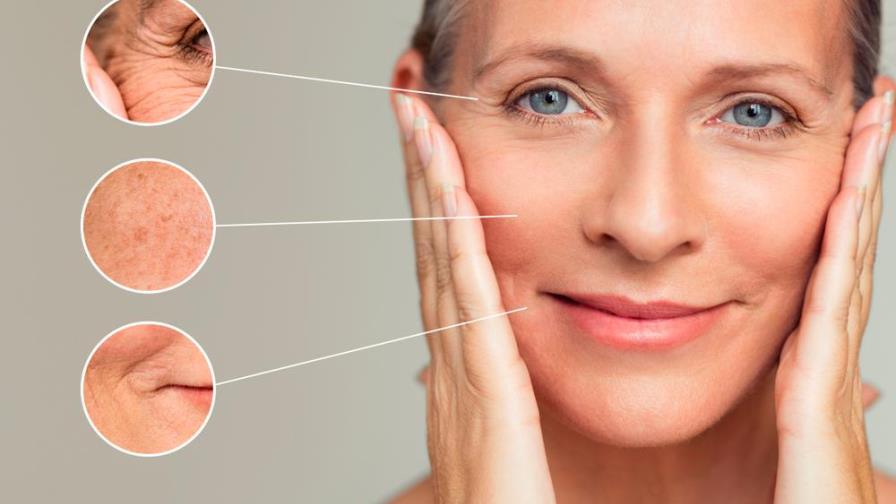 Estos antioxidantes ayudan a retrasar el envejecimiento