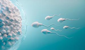 Líquido preseminal y embarazo: ¿Mito o realidad?