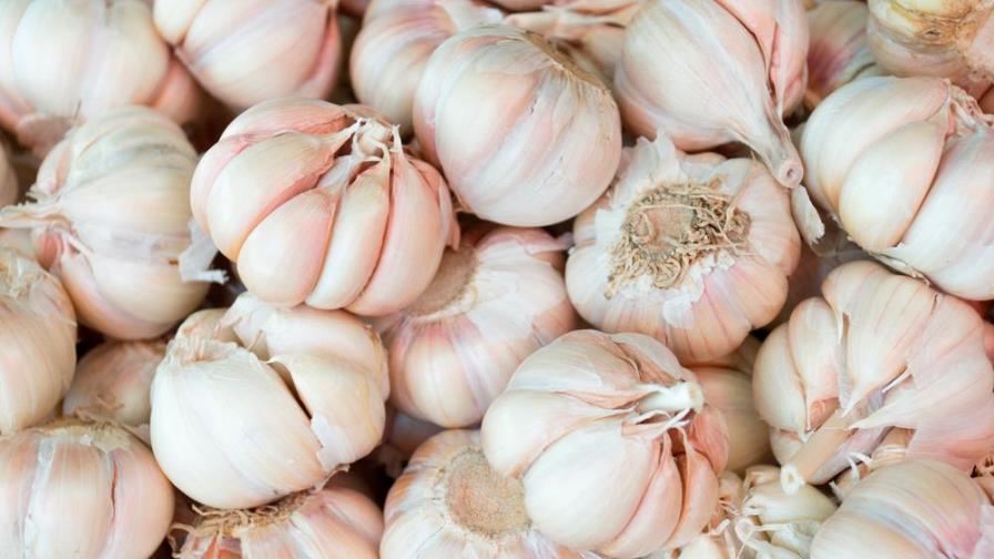 Beneficios de consumir ajo para el organismo