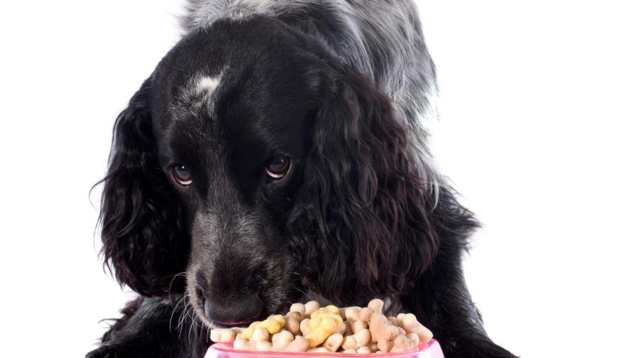 Al perro no se le quita   el hambre...