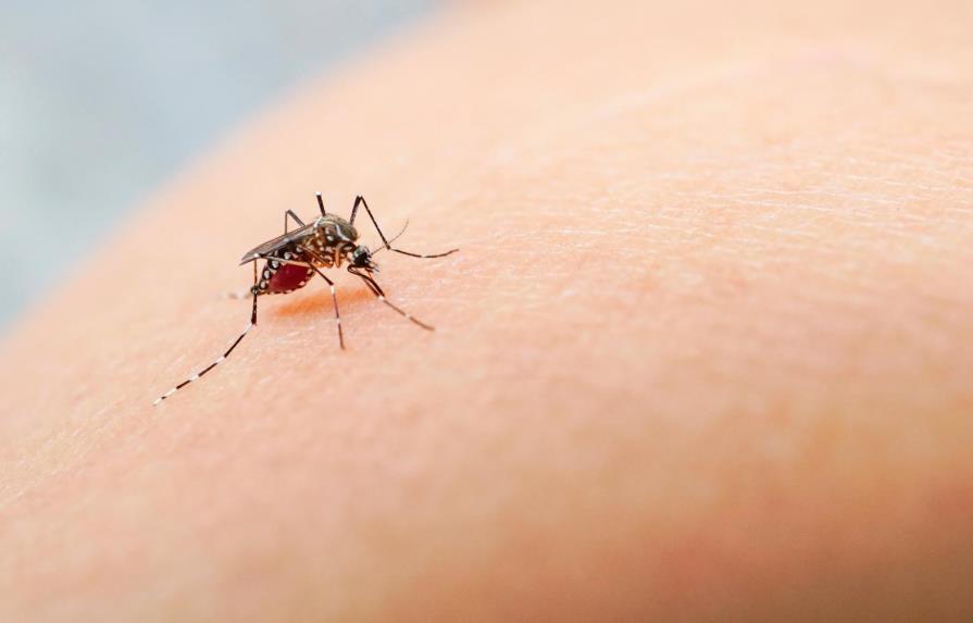 Tres nuevos casos de dengue en los Cayos de Florida elevan el total a 15