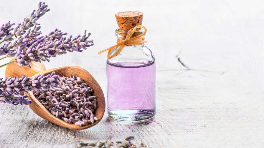 Estos son los beneficios que te aporta la lavanda