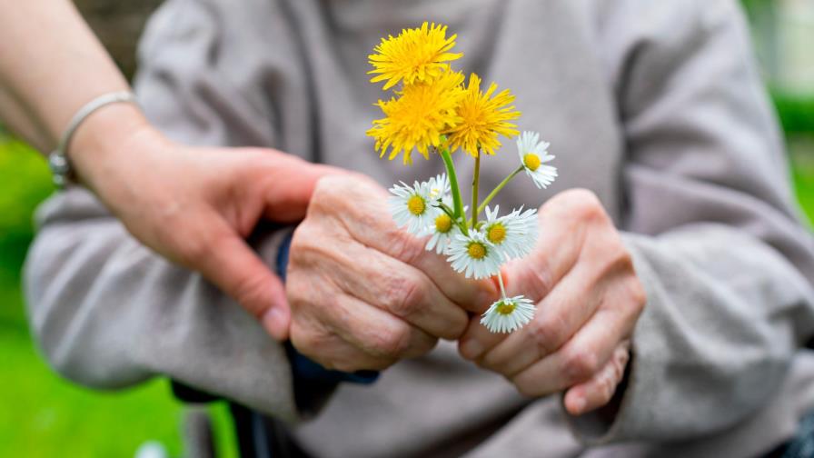 7 síntomas tempranos de la demencia en personas mayores 7 síntomas tempranos de la demencia en personas mayores