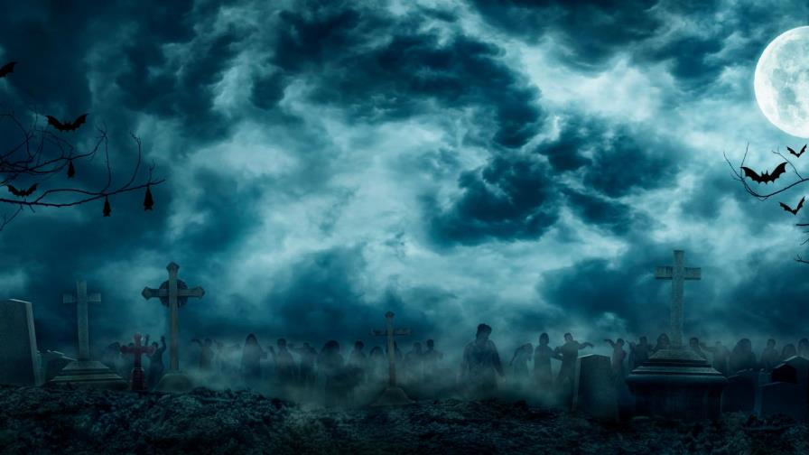 Fue al cementerio y lo que encontró fue perturbador