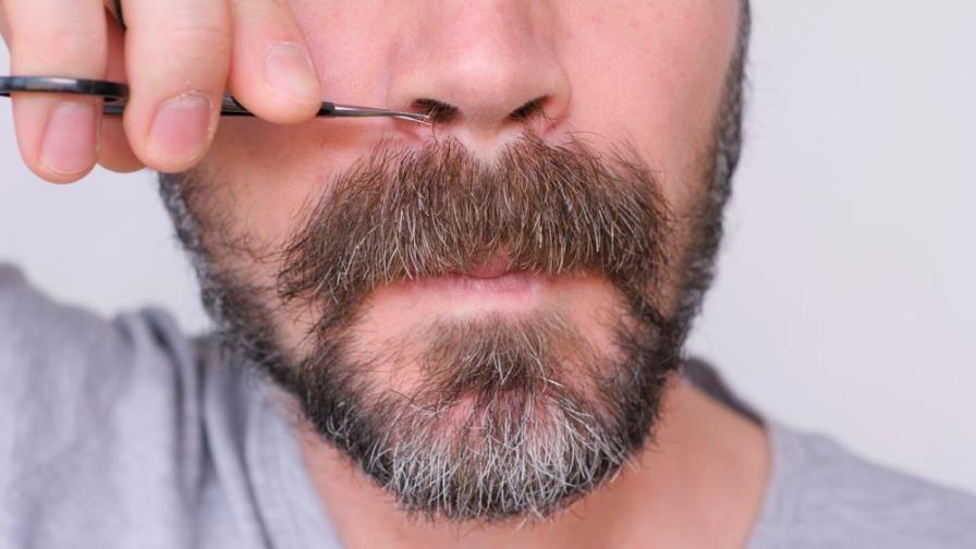 Mitos insólitos: verdades sobre los vellos nasales