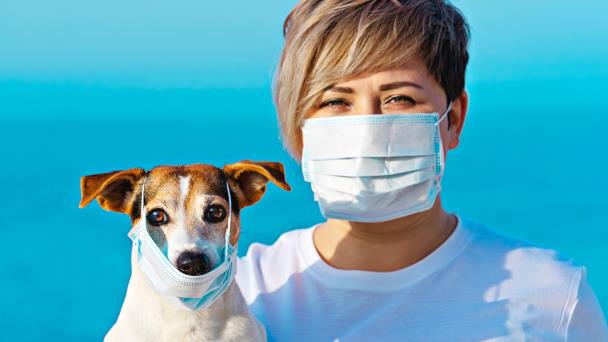 Coronavirus: ¿los perros y gatos podrían contraer el virus? Esta es la respuesta