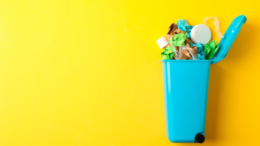 ¿Cuántas libras de alimentos botas a la basura cada año? 