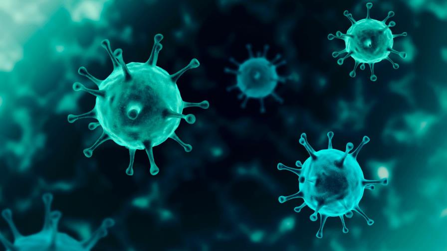 Más de 616.000 muertos por coronavirus en el mundo 