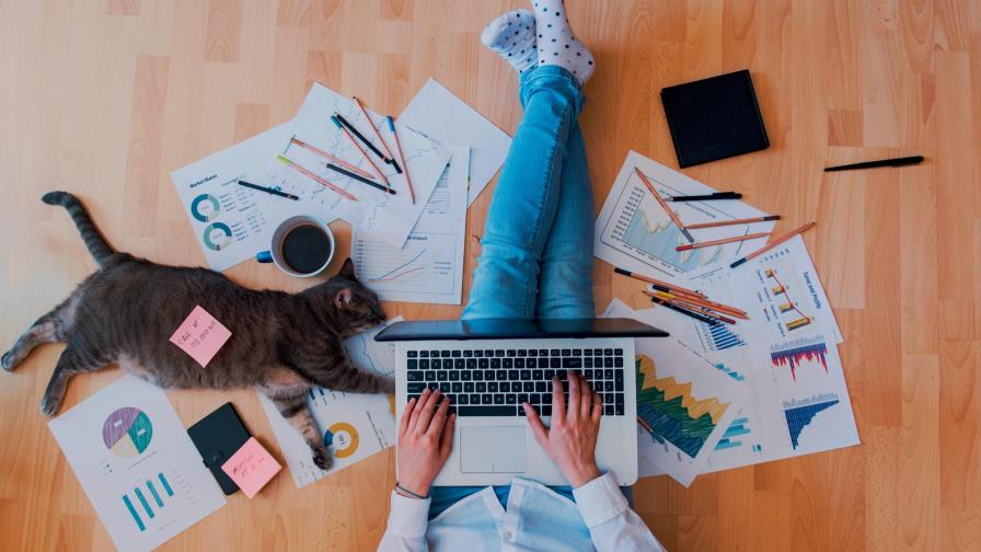 Nuevas tendencias: cuáles son los trabajos más remotos y cuánto pagan