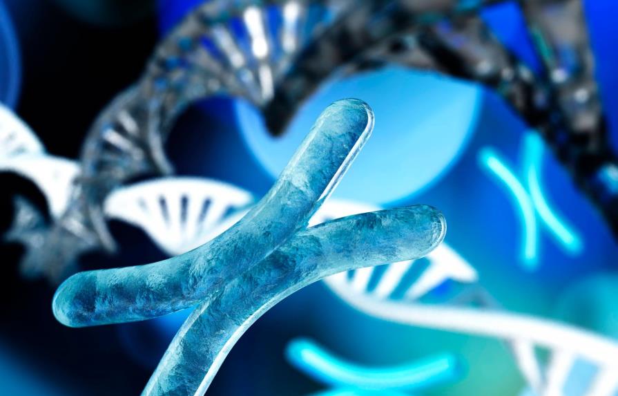 Científicos logran la primera secuencia completa de un cromosoma humano
