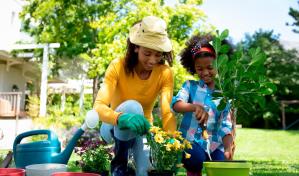 Un jardín en casa te puede subir el ánimo