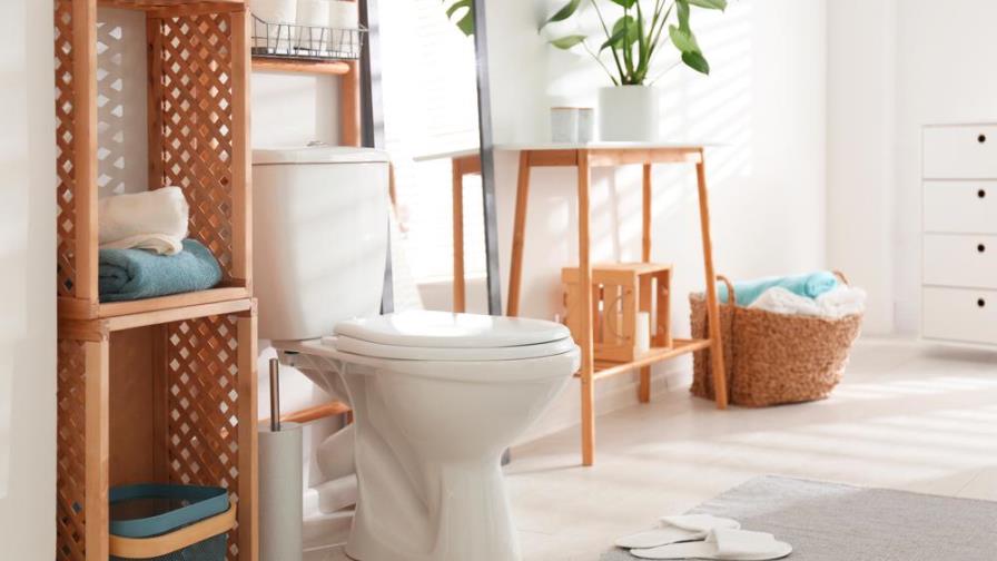 ¿Sabes para qué se usa cada botón de descarga del inodoro?