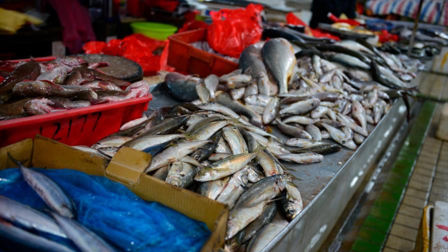 El mercado donde surgió el rebrote de junio en Pekín reabrirá sus puertas El mercado donde surgió el rebrote de junio en Pekín reabrirá sus puertas