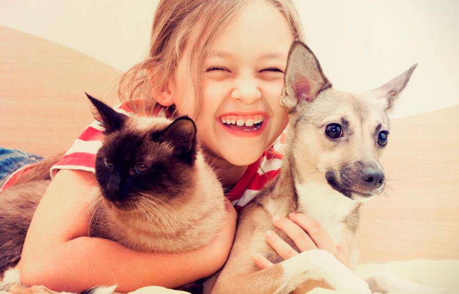5 mascotas ideales para tener en casa 