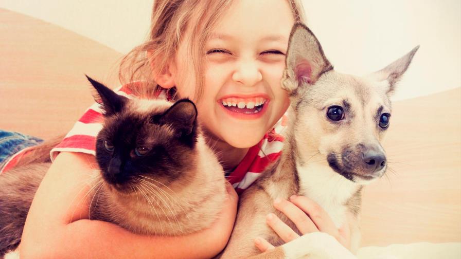 5 mascotas ideales para tener en casa 