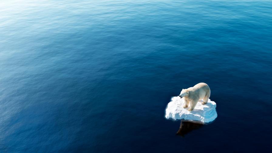 No hay debate: el cambio climático es resultado de la acción humana No hay debate: el cambio climático es resultado de la acción humana