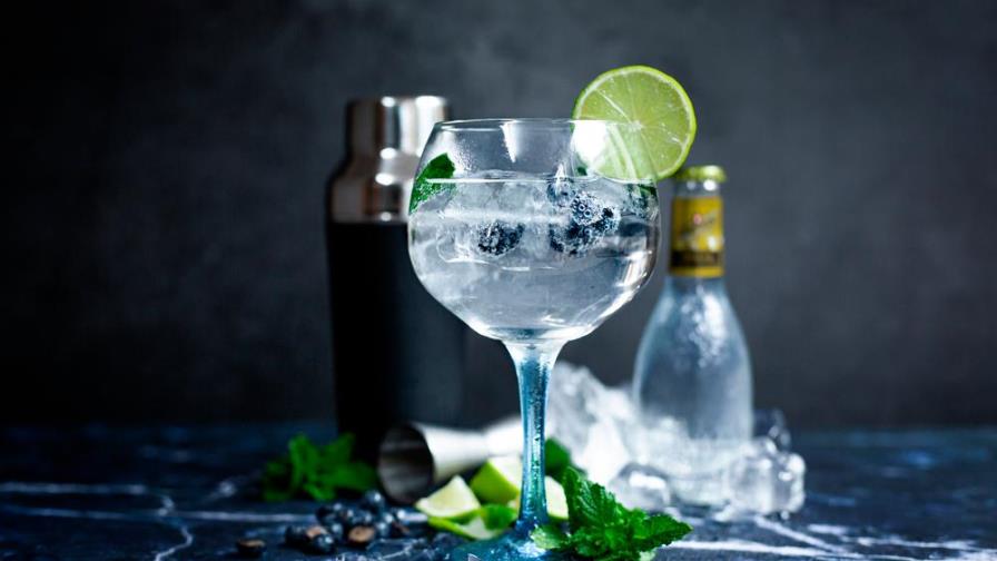 Los mejores cócteles para celebrar el día mundial del Gin Los mejores cócteles para celebrar el día mundial del Gin