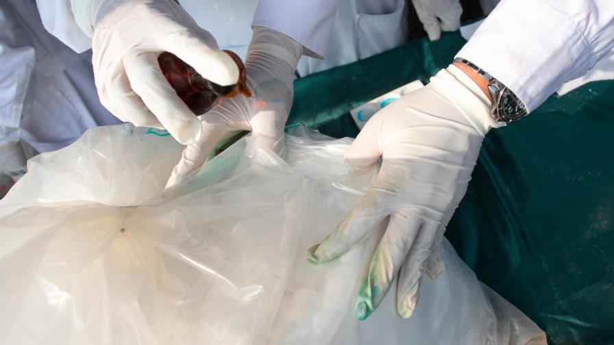 EEUU arresta a 9 colombianos y dominicanos en acción antidrogas en el Caribe