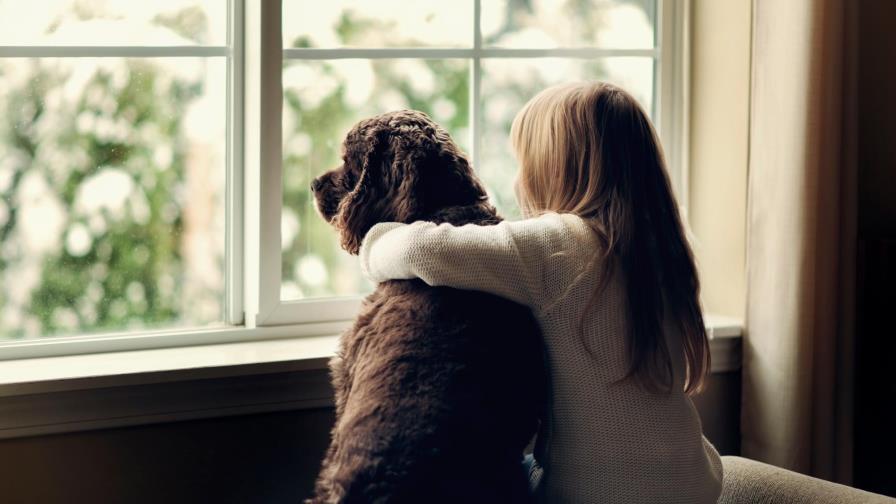 ¿Somos más compasivos con los perros que con otros humanos? ¡La ciencia dice que si!